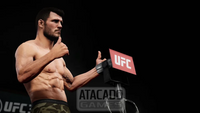 UFC (EUR)*