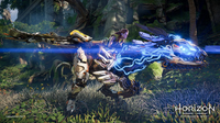 Horizon Forbidden West (EUR)