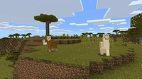 Minecraft (US)*