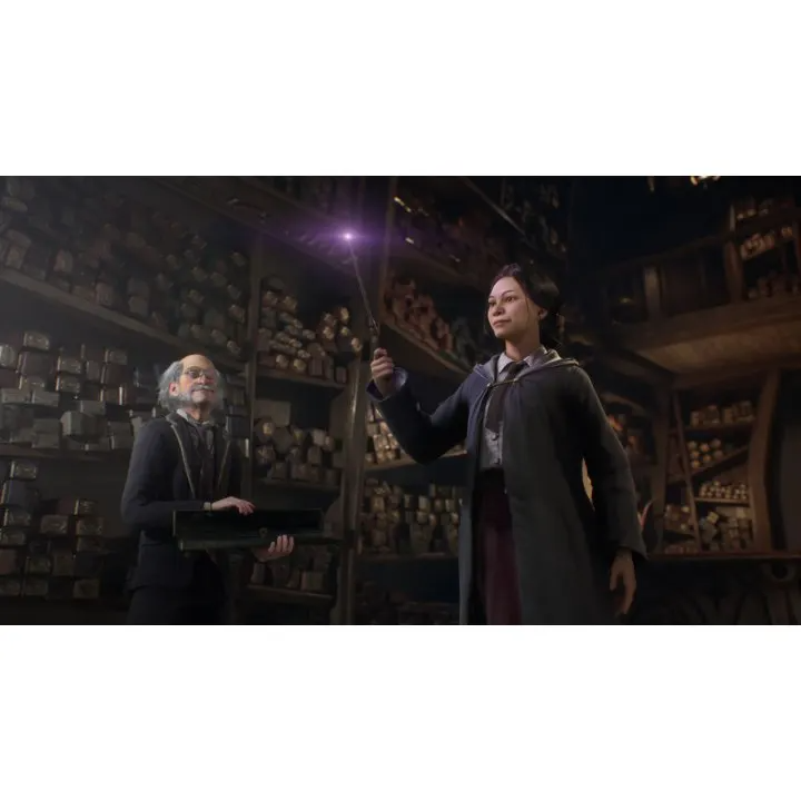 Hogwarts Legacy Deluxe Edition (EUR)