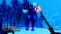 Citadel Forged with Fire (US)*