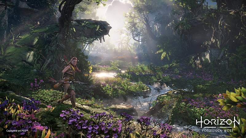 Horizon Forbidden West (EUR)
