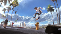 Skater XL (EUR)*