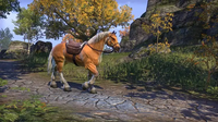 The Elder Scrolls Online: Gold Edition (US)