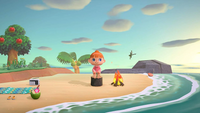 Animal Crossing: New Horizons (US)