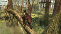 Assassin's Creed III: Remastered (US)