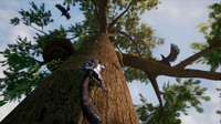 Away: The Survival Series (EUR)*