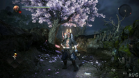 Nioh (PlayStation Hits) (US)*