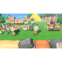 Animal Crossing: New Horizons - Nintendo Switch 2 Edition (US)