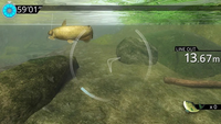 Legendary Fishing (EUR)*