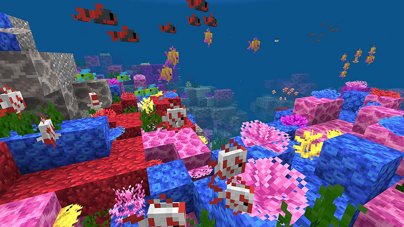 Minecraft Starter Collection (US)
