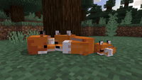 Minecraft Starter Collection (US)