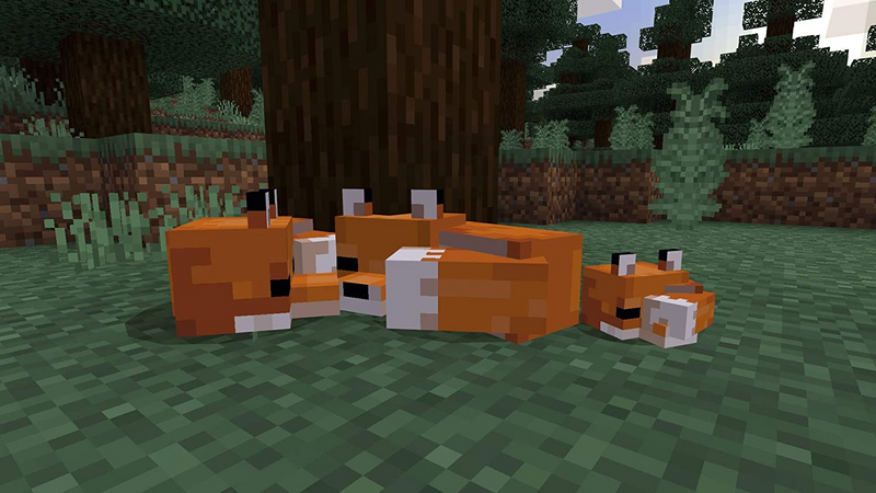 Minecraft Starter Collection (US)