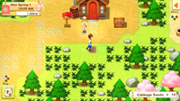 Harvest Moon Light of Hope Special Edition (US)