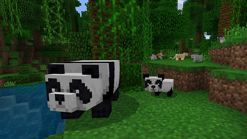 Minecraft Starter Collection (US)