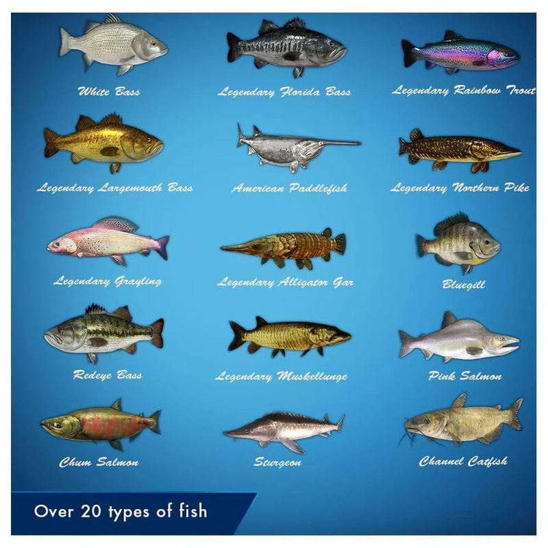 Legendary Fishing (EUR)*