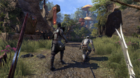 The Elder Scrolls Online: Tamriel Unlimited (US)*